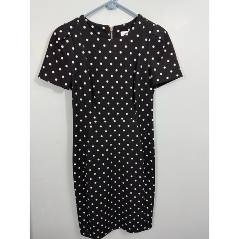 Calvin Klein Black White Polka Dot Puff Sleeve Sheath Dress Size 6 Gold Zip